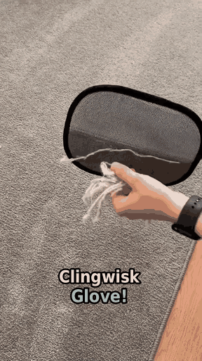 ClingWisk UGC pet fur cleanup video